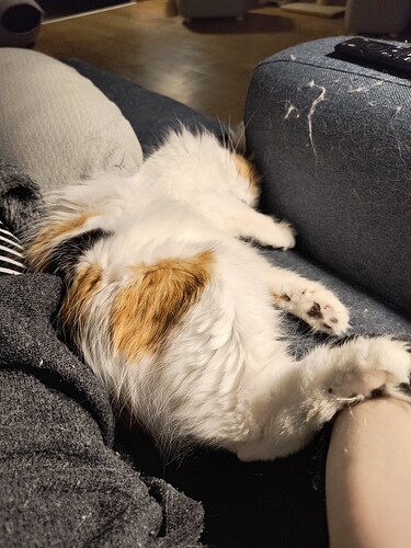 IMG_20260308_195420744_HDR