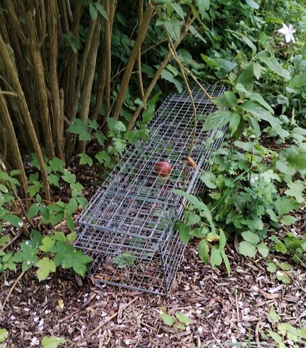 Screenshot_20240616_121016_edit_245032327466057