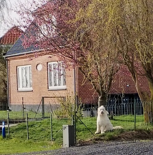 IMG_20260416_171844_edit_569301874097409