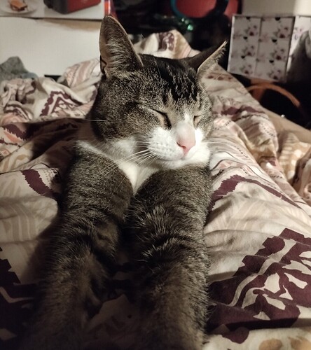 Screenshot_20250907_212339_edit_144730224078278