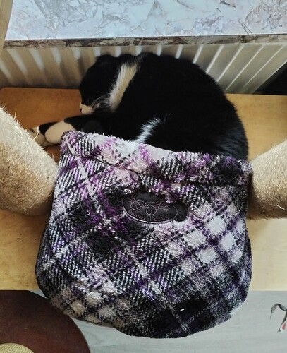 IMG_20260204_144710_edit_546662981695315