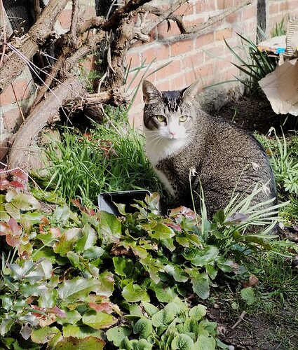 IMG_20260331_150111_edit_869083790410185