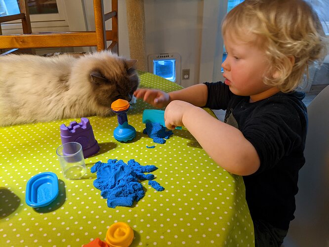 PXL_20210317_171344665