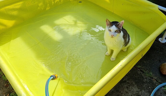 pool