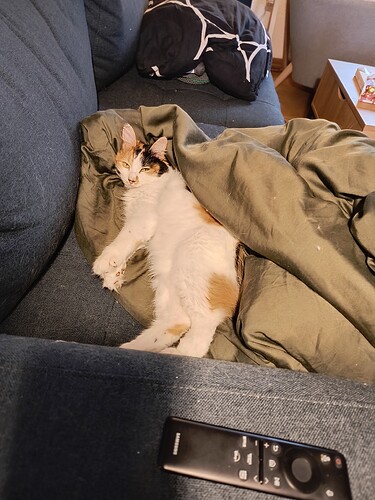 IMG_20251221_131313486_HDR