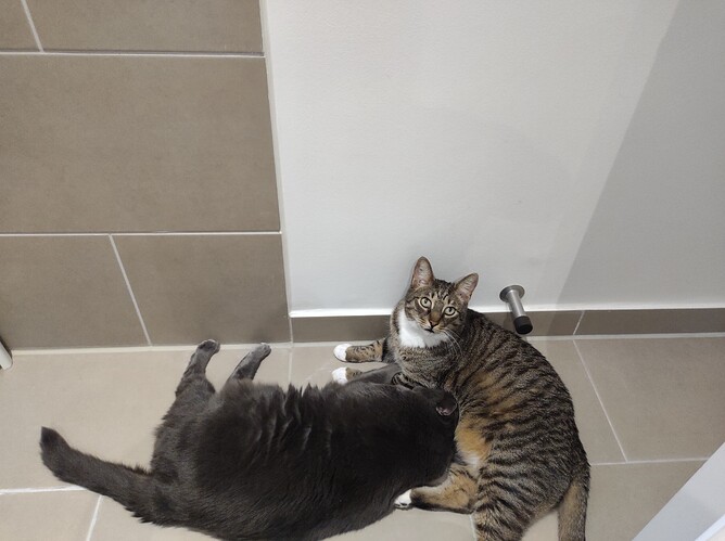 IMG_20210405_153946083