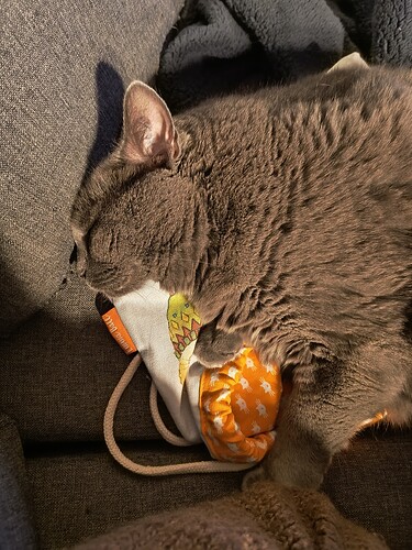 IMG_20241231_094118831