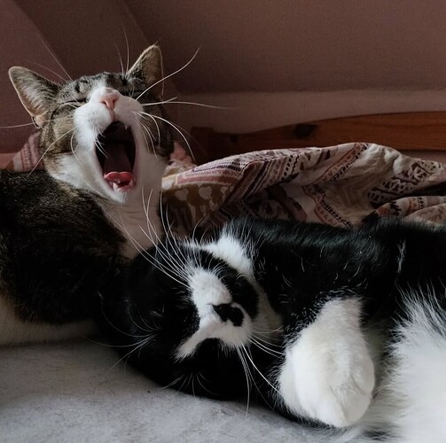 Screenshot_20251105_192912_edit_1886240967345243