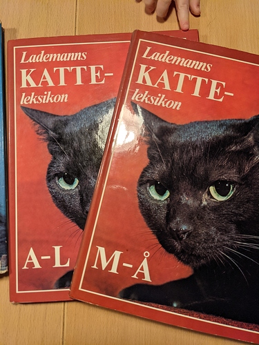 PXL_20210209_171426643