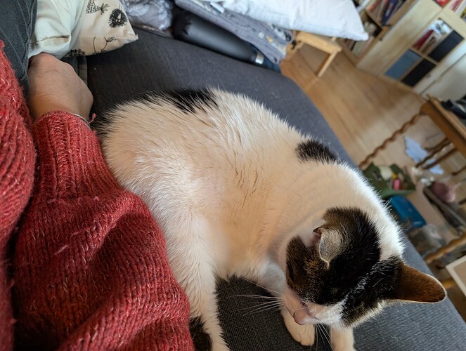 PXL_20260404_105239200.MP