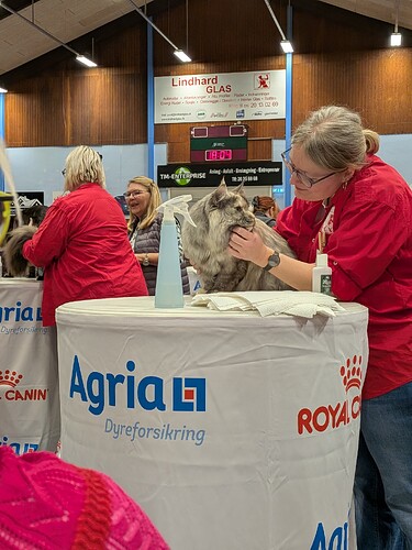 PXL_20260307_170352925.MP