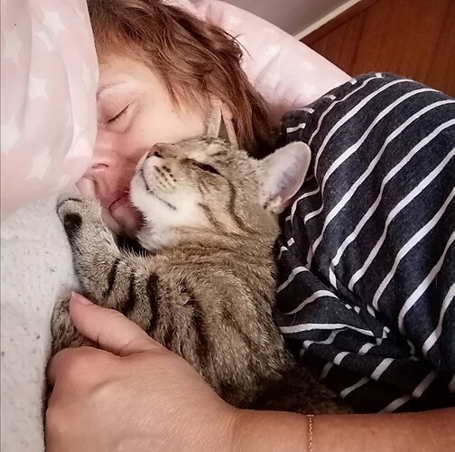 Screenshot_20210731_145338