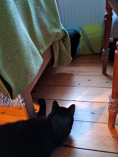 IMG_20251109_081943255