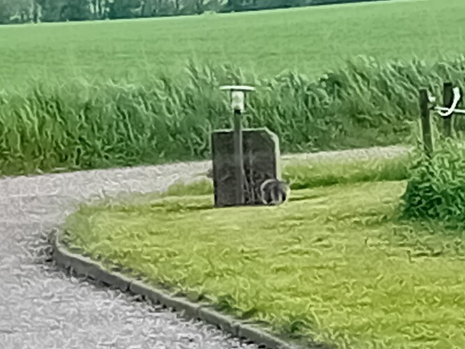 20260516_074843