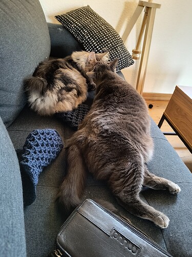 IMG_20250609_163638574_HDR