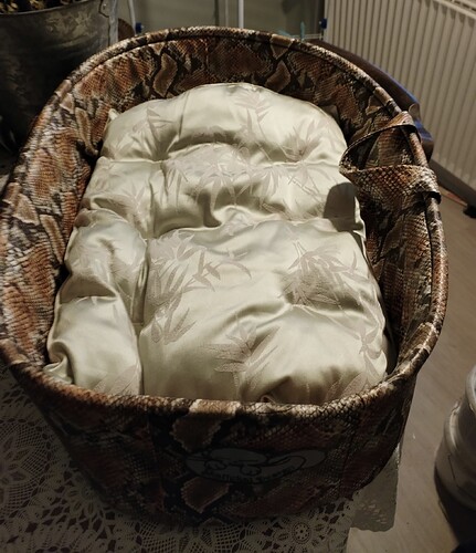 IMG_20241224_152516_edit_874446056063244