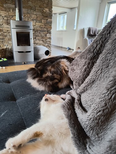 IMG_20250514_195811853_HDR