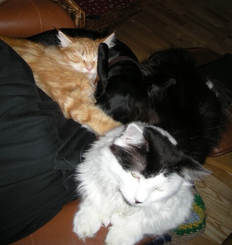 24 nov 08 020