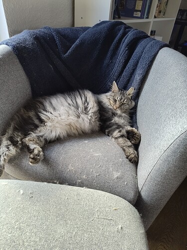 IMG_20260404_130854121_HDR