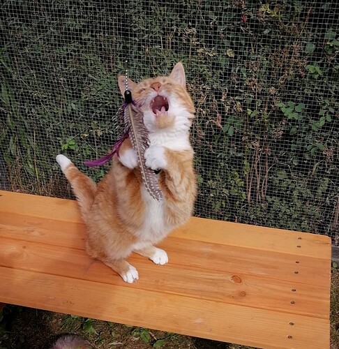 Screenshot_20210802_172558