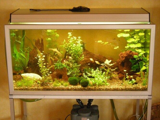 250L i Stuen (5)