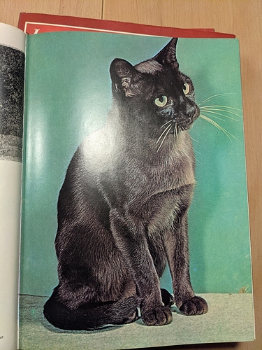 PXL_20210209_171602540