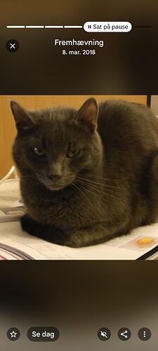 Screenshot_20260318-111914