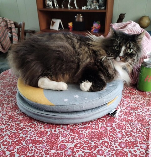 Screenshot_20260403_134655_edit_98671107428973