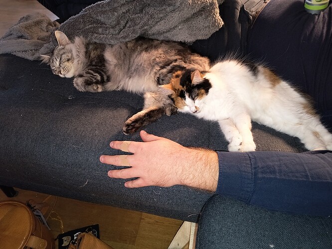 IMG_20251101_145826429