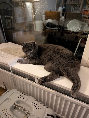 PXL_20251117_194130062.MP