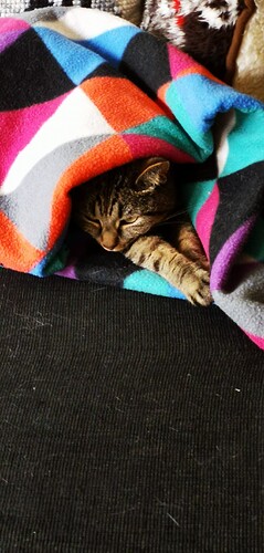 IMG_20240705_131810