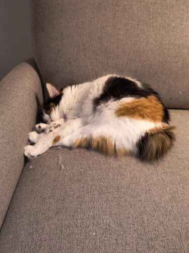 IMG_20251113_131758033