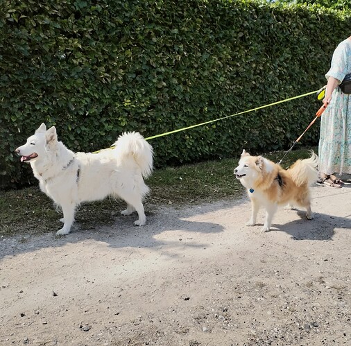 IMG_20250621_155233_edit_729172349783976