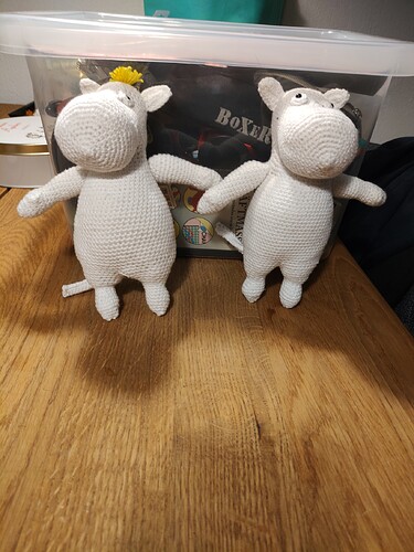 IMG_20231217_160359633