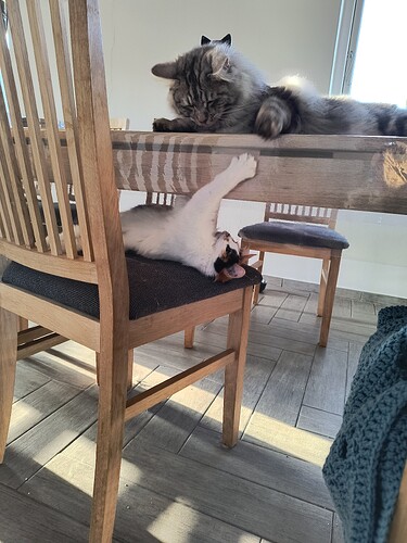 IMG_20250413_074232937_HDR