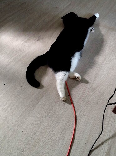 Screenshot_20260302_203157_edit_56025324746126