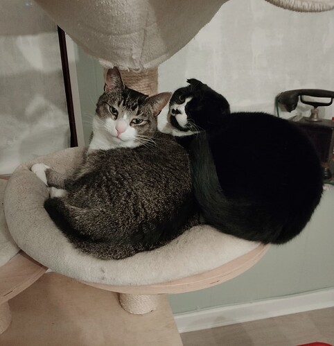 IMG_20241226_172317_edit_906307199610153