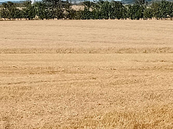 20240901_095433