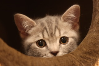 AE2CF5FB-8B57-43F8-843C-E2EE84E8987B