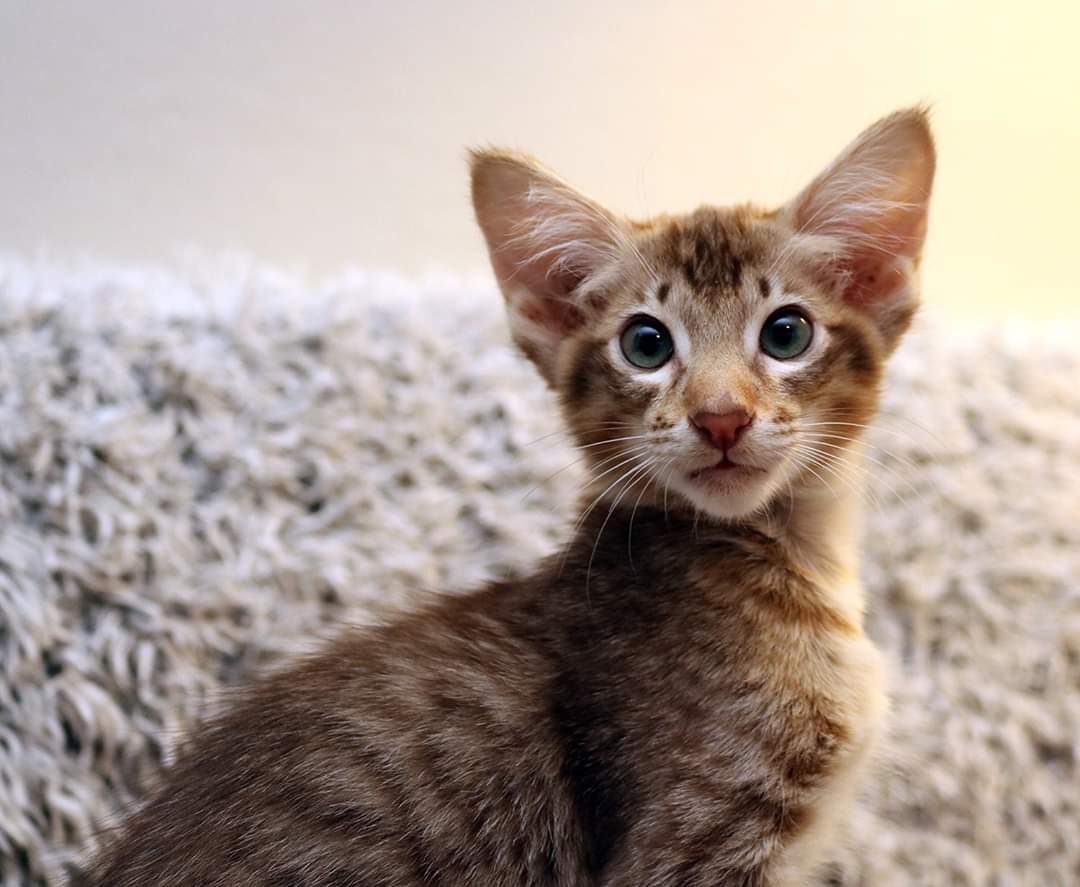 FB_IMG_1578182140958