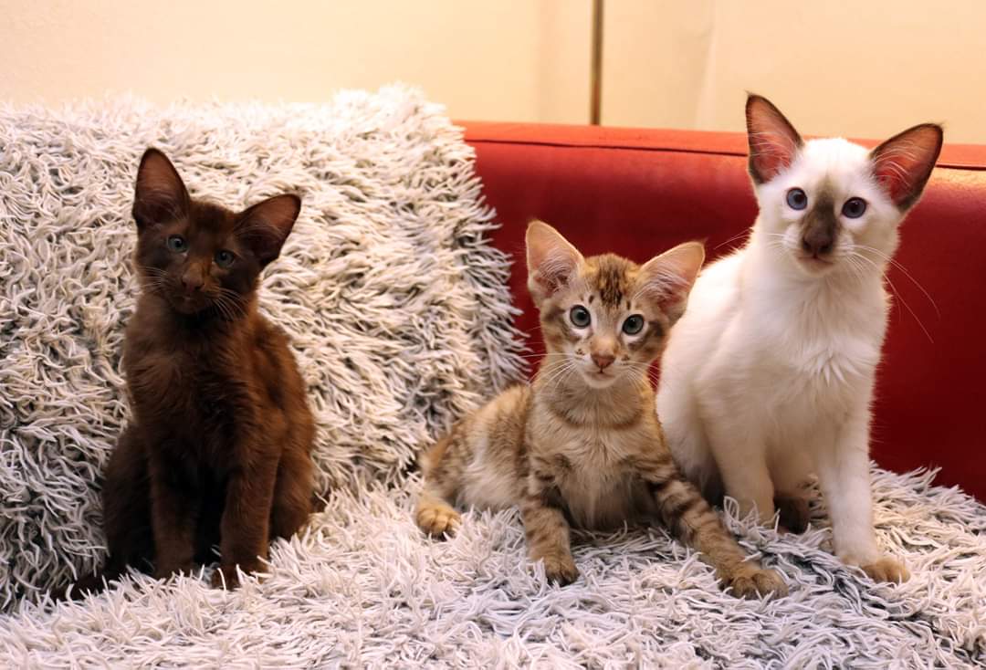 FB_IMG_1578182115724