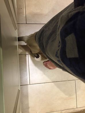 14448785_10210655882981341_3154627251270862217_n