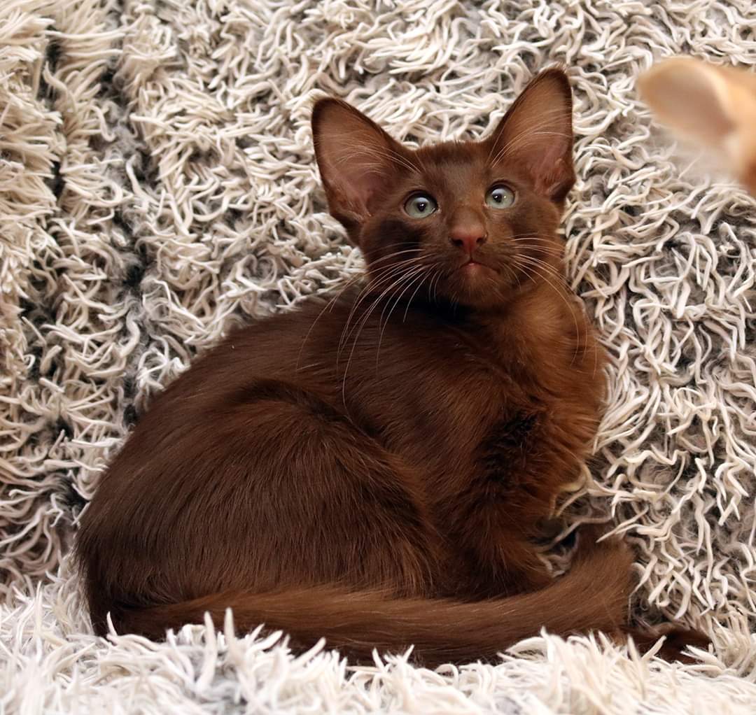 FB_IMG_1578182129555