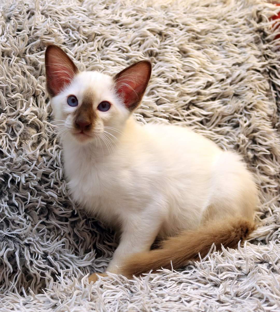 FB_IMG_1578182148208